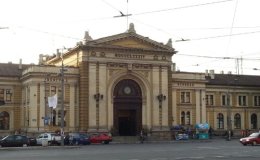 Mosquito wonderland.