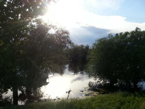 20130511_180819.jpg image