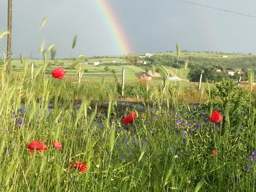 20130523_184105.jpg image